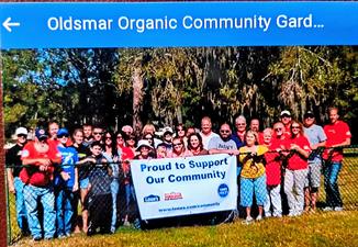 Oldsmar Organic Community Garden