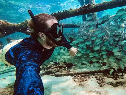 Gallery Image Florida-Keys-Snorkeling-Shipwreck-Marine-Life_1.jpg