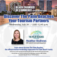 Discovering The Palm Beaches Your Tourism Partners