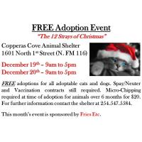 Copperas Cove Animal Shelter FREE Pet Adoption 