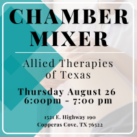 Chamber Mixer - Allied Therapies