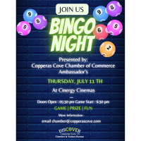 Ambassador Board Bingo Night 4/18/24