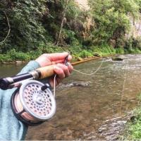 Intro to Fly Fishing Class