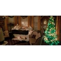 Oakenwald Terrace Christmas Open House