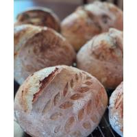 Workshop at Sylvan Brewing: Sourdough for Beginners