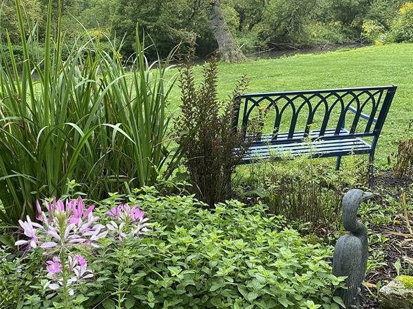 Lower garden at riverside