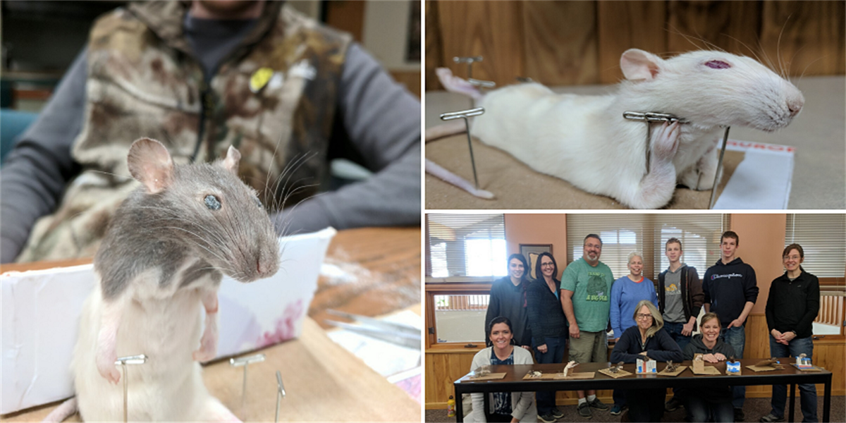 Taxidermy 101 Sep 12, 2020 Lanesboro Area Chamber of Commerce, MN