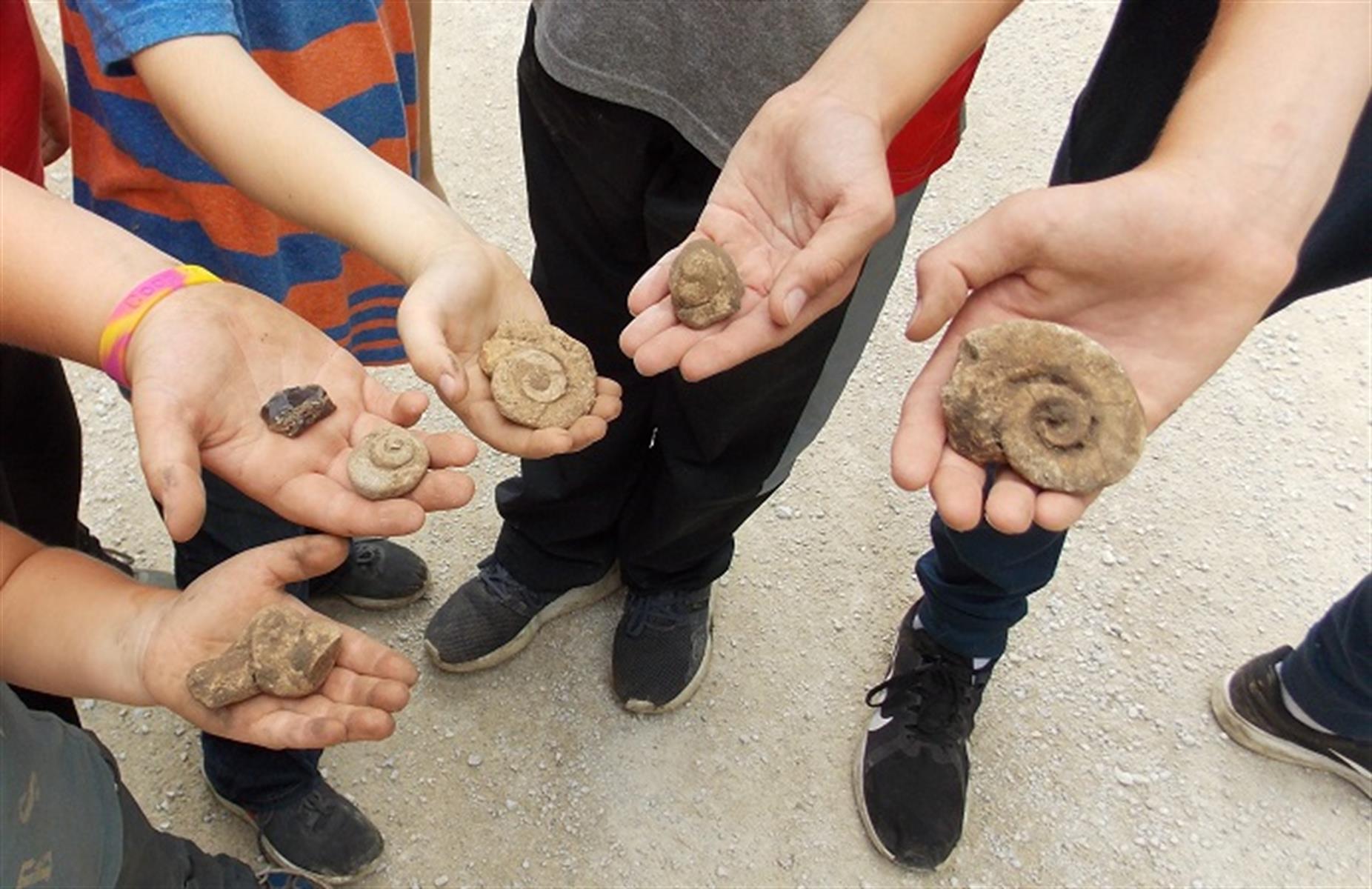 Fossil Hunting in Fillmore County Aug 14, 2021 Lanesboro Area
