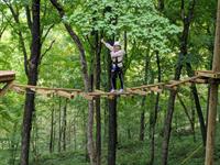 Summer High Ropes Challenge at Eagle Bluff