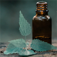 Introduction to Aromatherapy Class with Ann Madland