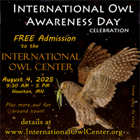 International Owl Awareness Day - 2025