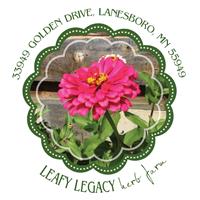 Leafy Legacy Herbs at Art in the Park