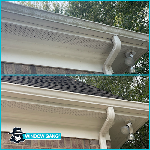 Residential Gutter Cleaning 