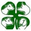 4-H Open House