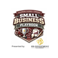 Cedarburg Small Business Playbook