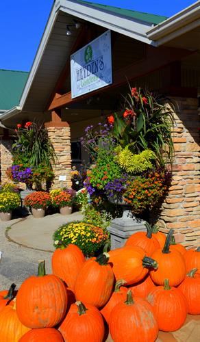 Pumpkins and fall annuals
