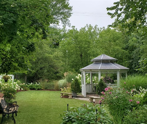 Lilly Pad Inn Backyard 