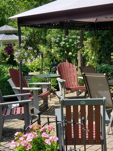 Lilly Pad backyard patio