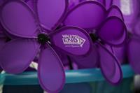 Walk to End Alzheimer's Committee Orientation | Ozaukee County