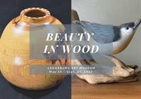 Beauty in Wood: Robert Budecki & Robert Holmes