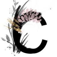 Cirque de Cheveux ~ Open House