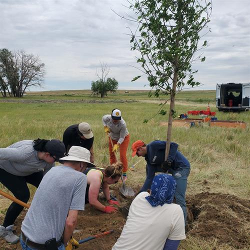 Planting trees along first creek, 2024