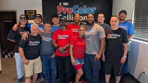 ProColor Team