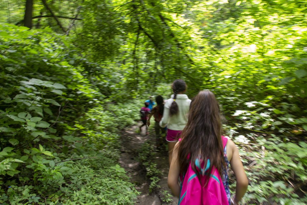 Fontenelle Forest Offers Spring Break and Summer Camps News Sarpy