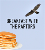Breakfast with the Raptors:  Join us March 21st for a pancake feed benefiting Fontenelle Forest’s birds of prey