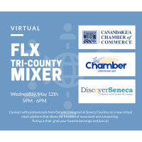 Virtual FLX Tri-County Mixer