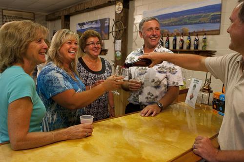 Customers enjoying a wine tasting at Hazlitt Red Cat Cellars.