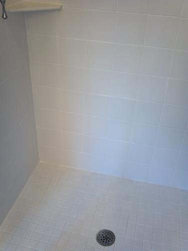 Full Shower Grout and Tile Protection After