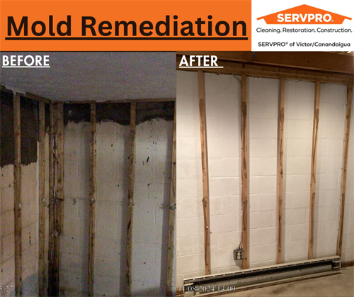 Gallery Image before_after_mold.png