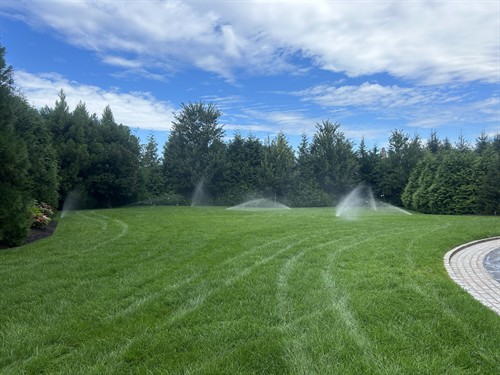 Gallery Image IMG_0772.jpeg