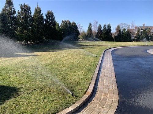 Gallery Image IMG_4484.jpeg