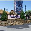 NH Fisher Cats