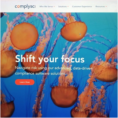 ComplySci Brand Strategy, Manifesto, Mantra, Creative Direction, Website, Site Architecture, Wireframes, UX/UI, Brand Identity, Content
