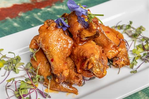 Wings Around the World