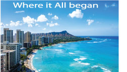 Gallery Image WAIKIKI-MINI.jpg