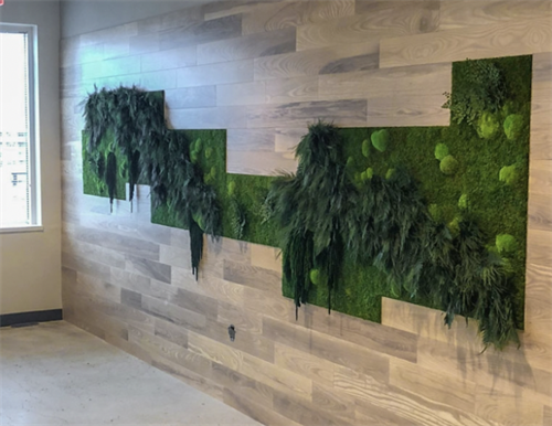 Asymmetric moss wall