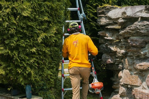 Gallery Image 5069281077369089777_121.jpg