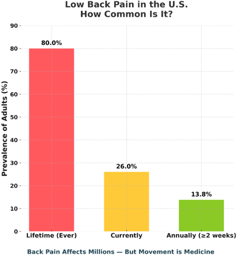 Gallery Image Back_pain_prevelance.PNG