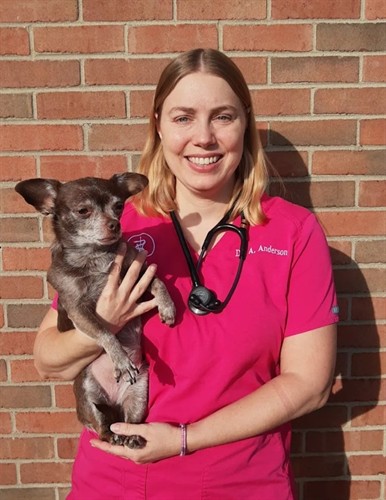 Gallery Image Parkview_Animal_Hospital_-_Dr._Anderson.jpg