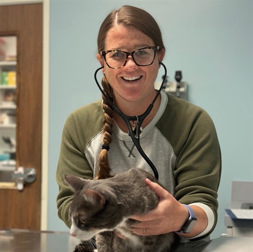 Gallery Image Parkview_Animal_Hospital_-_Dr._Wiggans.jpg