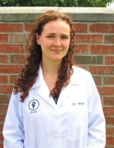 Gallery Image Parkview_Animal_Hospital_-_Dr._Wilborn.jpg