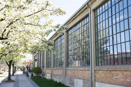 Gallery Image 9B8A1908171.jpg