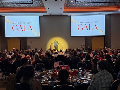 Gallery Image IMG_3119_(1).jpeg