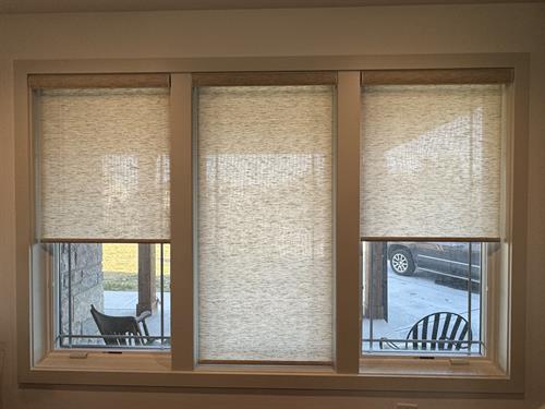 Alta Roller Shades