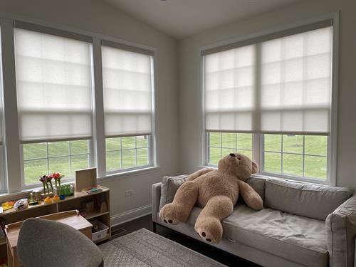 Hunter Douglas Roller Shades