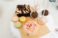 The Cupcake Shoppe And Bakery